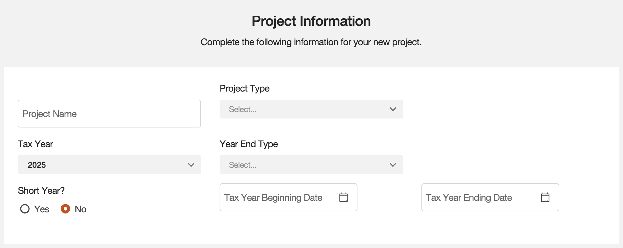 The Project Information form